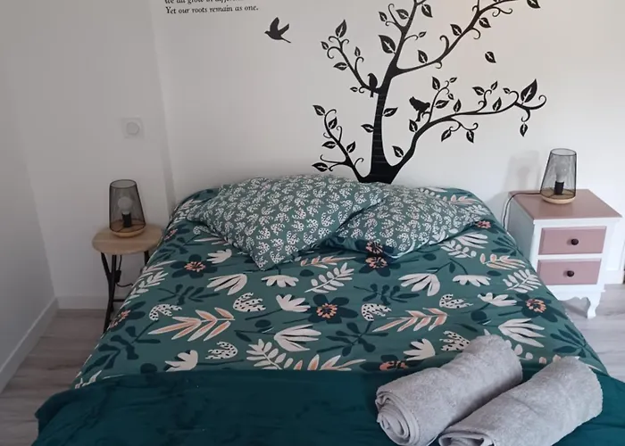 Duplex Cosy Et Douillet * Ernée